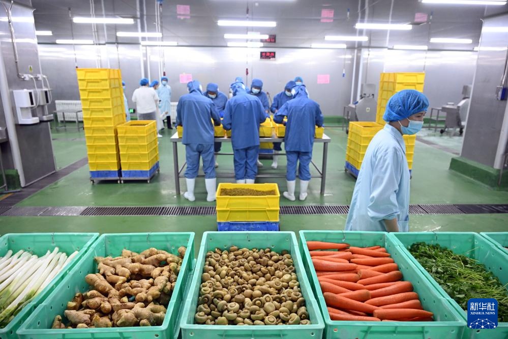 立秋貼膘，食養(yǎng)有道 傳統(tǒng)習(xí)俗與現(xiàn)代健康的平衡智慧